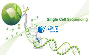 中國人自己的微流控單細胞測序儀來了！_微流控Drop-seq,微流控技術(shù)