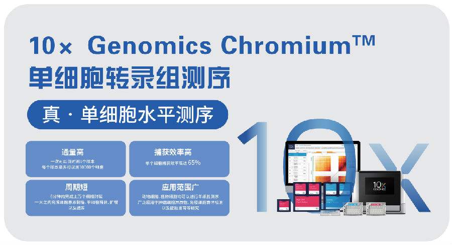 單細(xì)胞測(cè)序技術(shù)研究癌變腫瘤